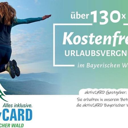 Chalet Huettendorf 49 Gradnord 拜尔里舍艾森施泰恩 外观 照片